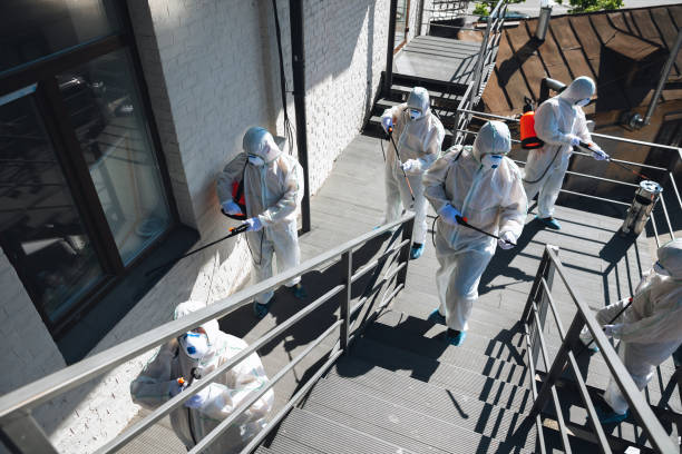 Mold Removal for HVAC Installations in Rising Sun Lebanon, DE